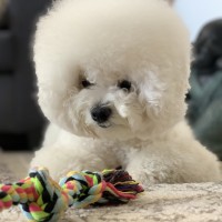 סרגיי מלניקוב melnykov.sergiy@gmail.com