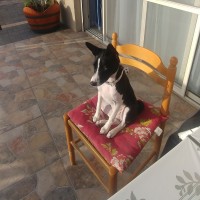 Tatiana Tanya Miroev