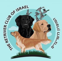 רטריבר המועדון הישראלי לכלבי רטריבר רטריבר