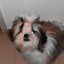קסניה פינייב