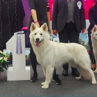 Lisa Weingardt und Nando Basalo lisa_weingardt@yahoo.de