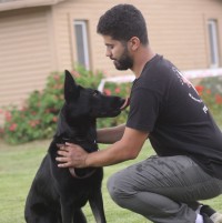 רפאל גלאפו גלאפו